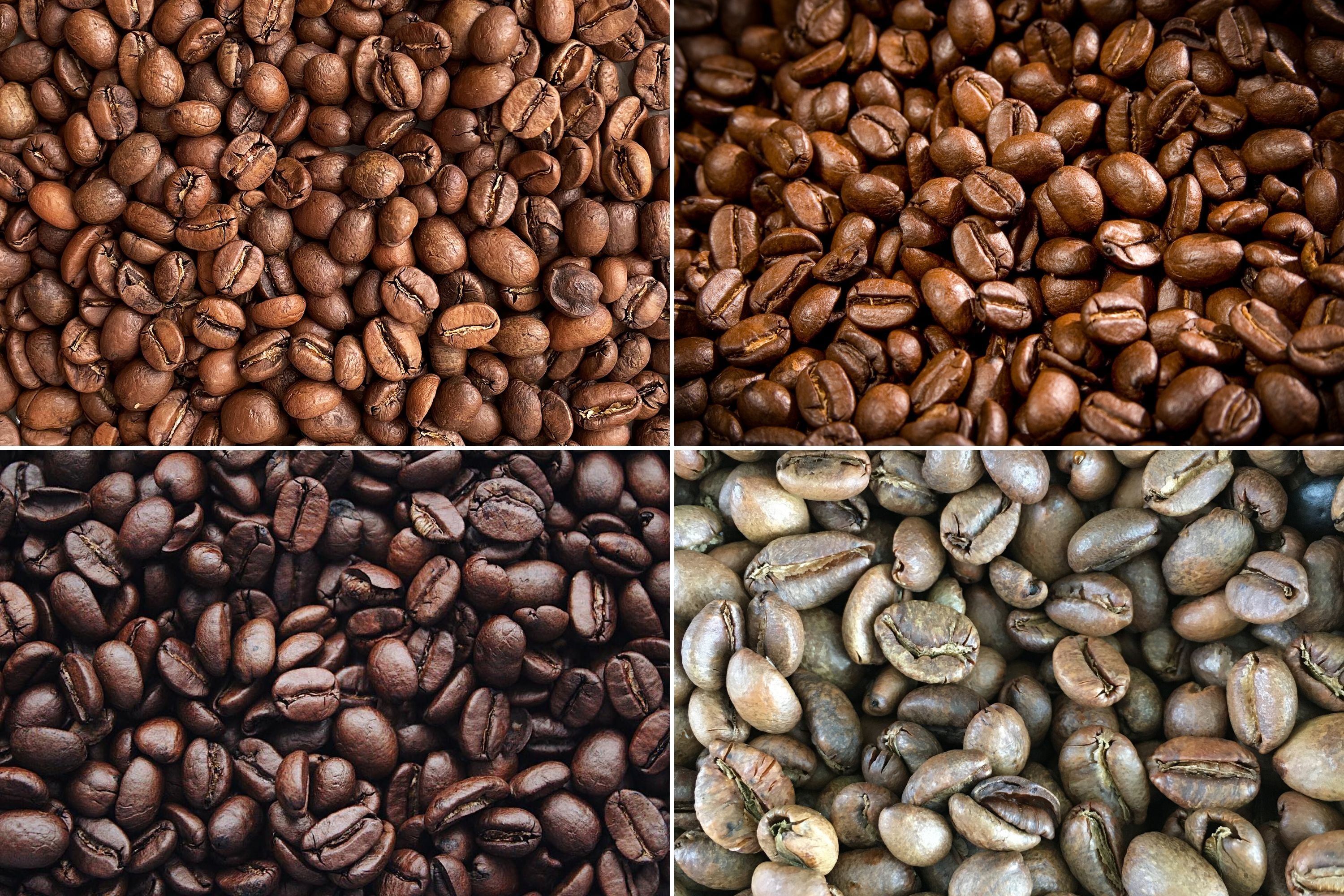 Four types of coffee beans: Arabica, Robusta, Liberica, Excelsa